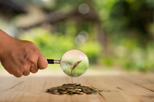 Stawki dopłat ekologicznych 2024: Kluczowe informacje dla rolników