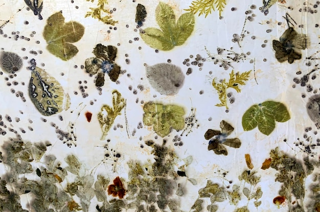 Druk cyfrowy a środowisko: Korzyści i wpływy ekologiczne